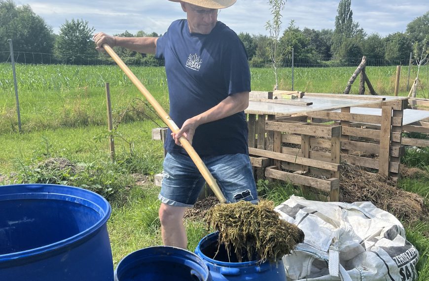 Pflanzengesundheit mit Brühen, Jauchen & Co