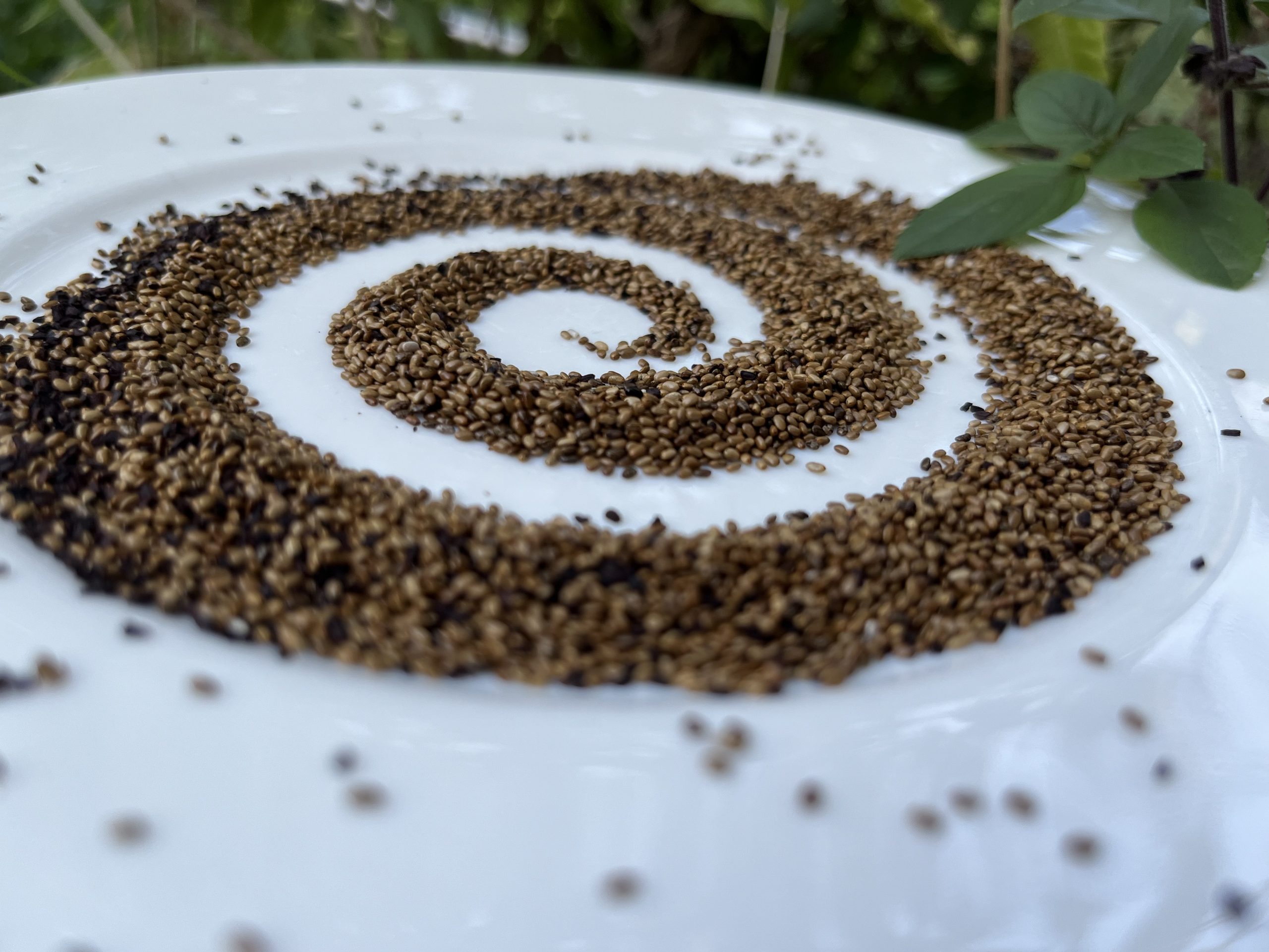 8-Schilde-Modell – Bilder des Gelingens in Zeiten von…