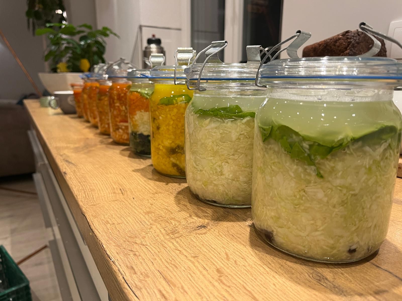 Fermentation – Gesundheit aus dem Einmachglas