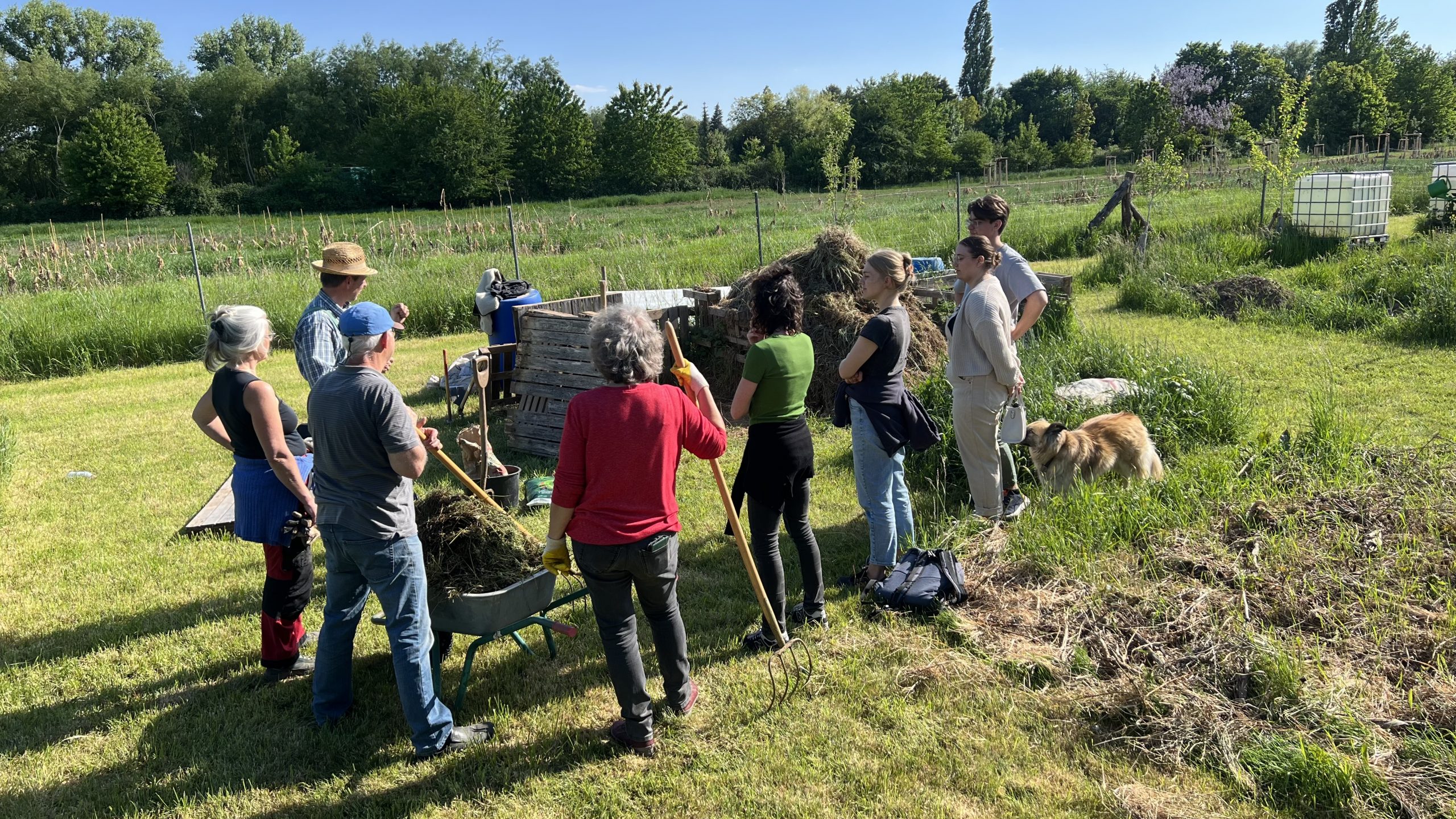 Afterwork gardening auf dem Acker