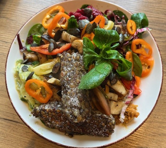 Vegan – die Mitte des Tellers – Bratlinge,…